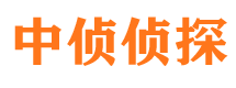 平顶山市私家侦探